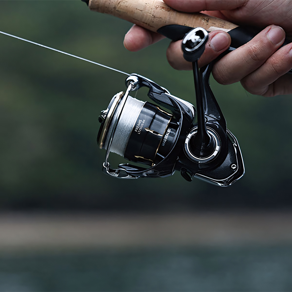 Carretilha de Pesca DAIWA 2026 - Shimano Reel Stradic avaliação e preço
